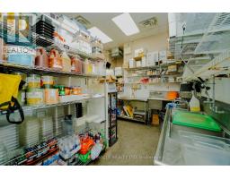 391 Queen Street, Halton Hills, ON L7J0A8 Photo 14