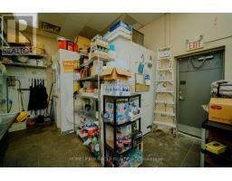 391 Queen Street, Halton Hills, ON L7J0A8 Photo 25