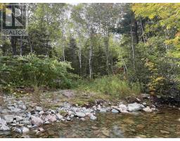 101 Millbrook Road, Wreck Cove, NS B0C1H0 Photo 38