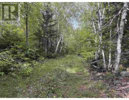 101 Millbrook Road, Wreck Cove, NS B0C1H0 Photo 39