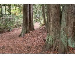 16 850 Arbutus St, Qualicum Beach, BC V9K2M7 Photo 41