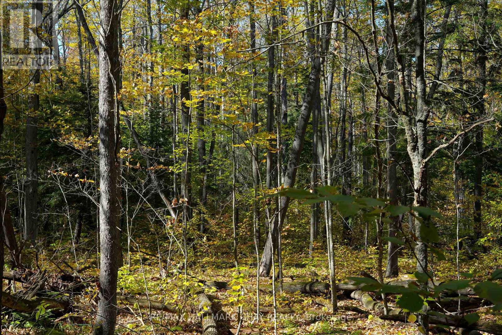 667467 20th Sideroad, Mulmur, ON photo 48