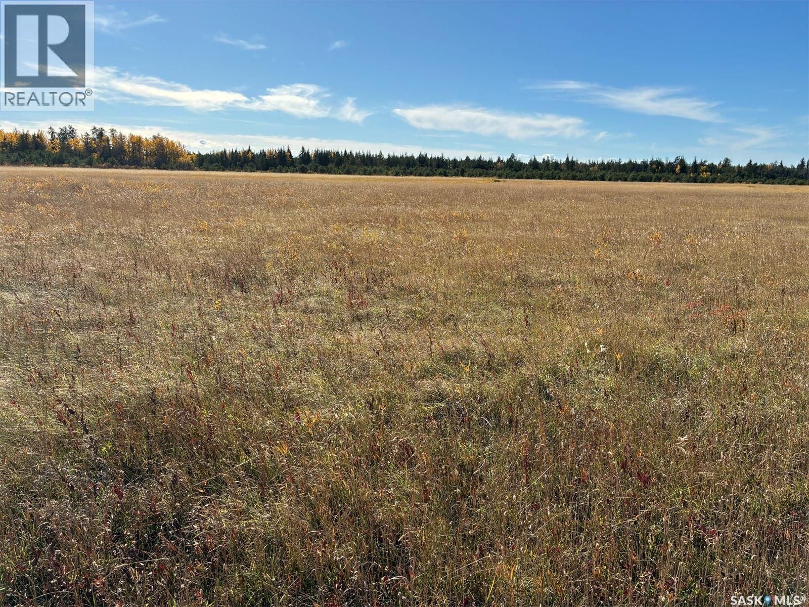 Lariviere Land 86.15 Acres, Meadow Lake Rm No.588 — photo 4