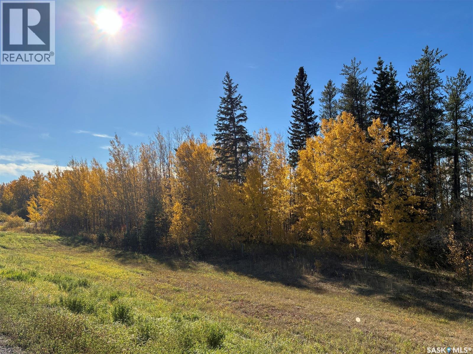 Lariviere Land - 152.9 Acres, Meadow Lake Rm No.588 — photo 4