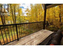 Lot 1 Nemaiah Valley Road, Williams Lake, BC V0L1X0 Photo 15