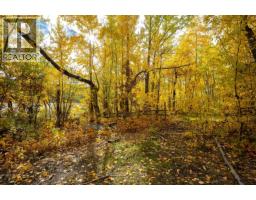 Lot 1 Nemaiah Valley Road, Williams Lake, BC V0L1X0 Photo 19