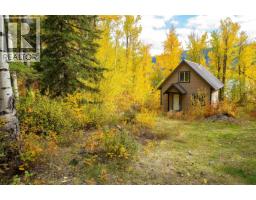Lot 1 Nemaiah Valley Road, Williams Lake, BC V0L1X0 Photo 17