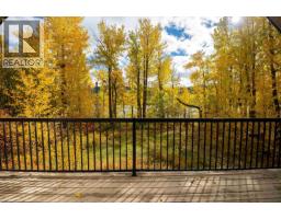 Lot 1 Nemaiah Valley Road, Williams Lake, BC V0L1X0 Photo 14