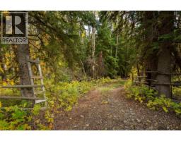 Lot 1 Nemaiah Valley Road, Williams Lake, BC V0L1X0 Photo 16