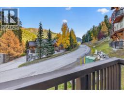 2049 Summit Drive Unit# 413c, Panorama, BC V0A1T0 Photo 20