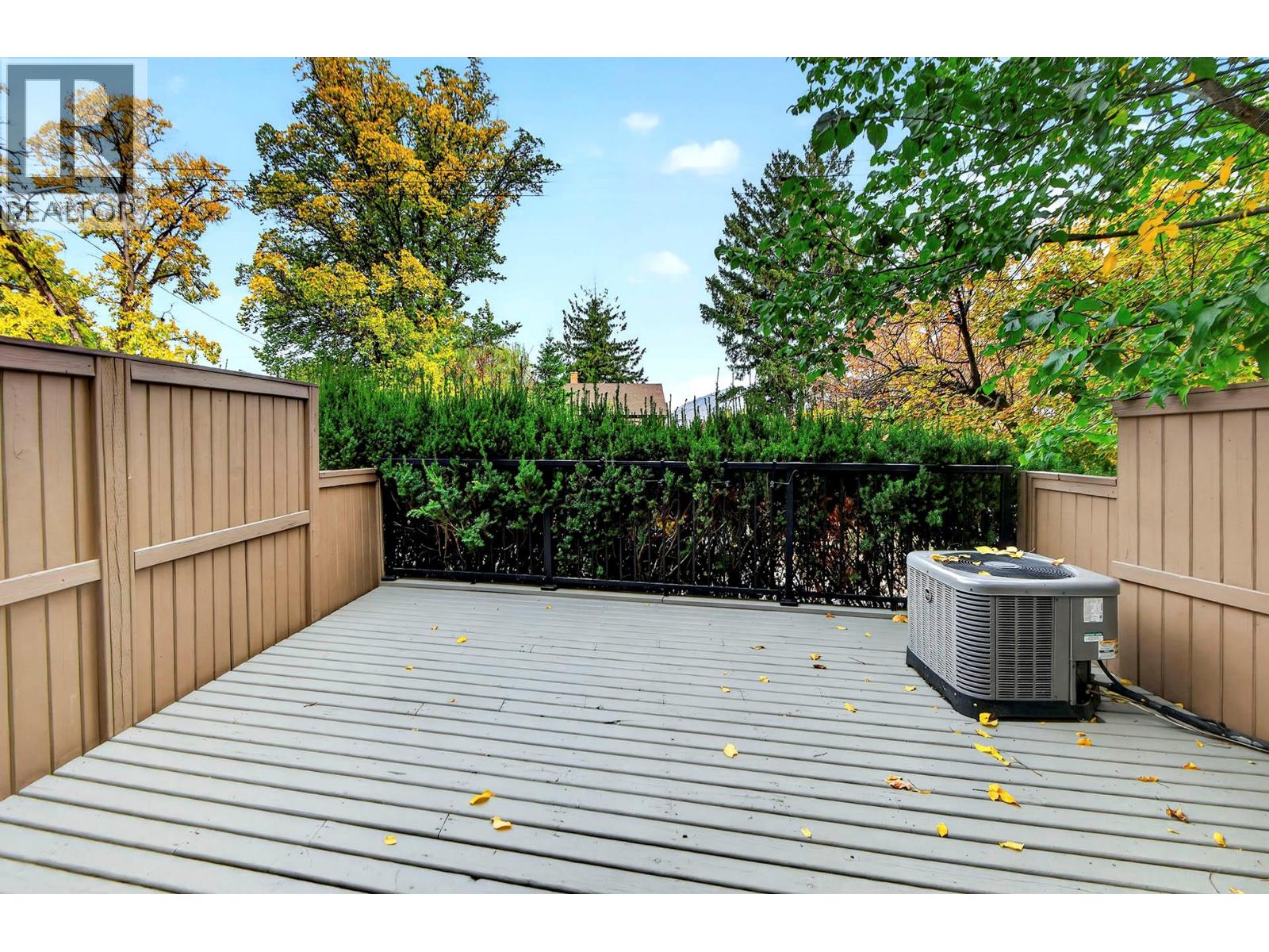 #41 145 NICOLA Street - 29