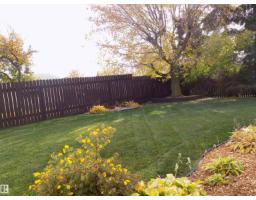 129 Mountain Ash Drive, Wetaskiwin, AB T9A2T4 Photo 40