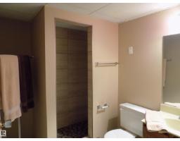 129 Mountain Ash Drive, Wetaskiwin, AB T9A2T4 Photo 35