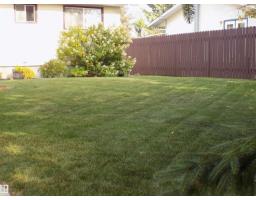 129 Mountain Ash Drive, Wetaskiwin, AB T9A2T4 Photo 46