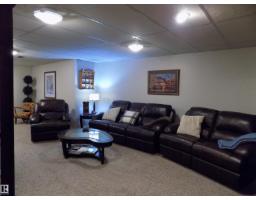 129 Mountain Ash Drive, Wetaskiwin, AB T9A2T4 Photo 31