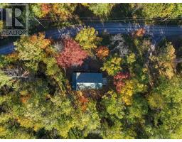 240 Burnt Dam Road, Havelock Belmont Methuen, ON K0L1Z0 Photo 38