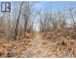 1220 37th Street, Castlegar, BC V1N3N1 Photo 11