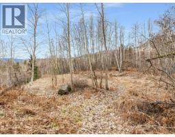 1220 37th Street, Castlegar, BC V1N3N1 Photo 12