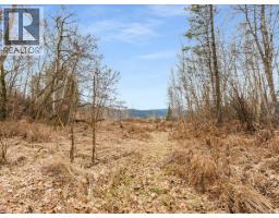 1220 37th Street, Castlegar, BC V1N3N1 Photo 13
