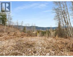 1220 37th Street, Castlegar, BC V1N3N1 Photo 15