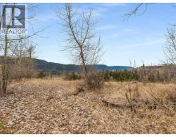1220 37th Street, Castlegar, BC V1N3N1 Photo 17
