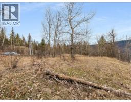 1220 37th Street, Castlegar, BC V1N3N1 Photo 6
