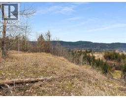 1220 37th Street, Castlegar, BC V1N3N1 Photo 7