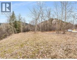 1220 37th Street, Castlegar, BC V1N3N1 Photo 8