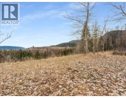 1220 37th Street, Castlegar, BC V1N3N1 Photo 9