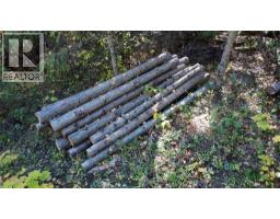 1515 Schulli Road, Christina Lake, BC V0H1E0 Photo 10