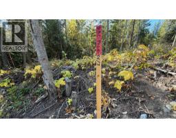 1515 Schulli Road, Christina Lake, BC V0H1E0 Photo 13