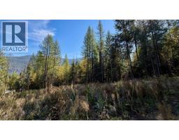 1515 Schulli Road, Christina Lake, BC V0H1E0 Photo 8