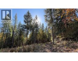 1515 Schulli Road, Christina Lake, BC V0H1E0 Photo 9