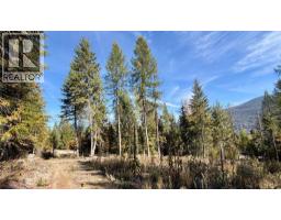 1515 Schulli Road, Christina Lake, BC V0H1E0 Photo 6