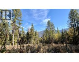 1515 Schulli Road, Christina Lake, BC V0H1E0 Photo 7