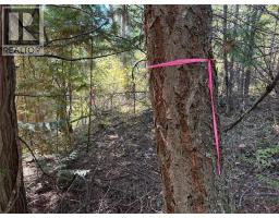 1515 Schulli Road, Christina Lake, BC V0H1E0 Photo 11