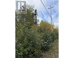 Tower Road, Mulgrave, NS B0E2G0 Photo 8
