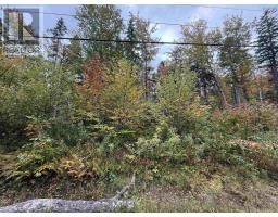 Tower Road, Mulgrave, NS B0E2G0 Photo 9