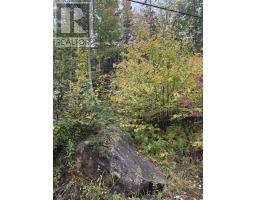 Tower Road, Mulgrave, NS B0E2G0 Photo 12
