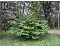 7813 7 Highway, Musquodoboit Harbour, NS B0J2L0 Photo 38