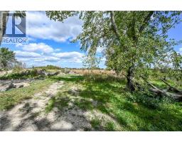 172 Tyneside Road, Caledonia, ON N3W2J1 Photo 15