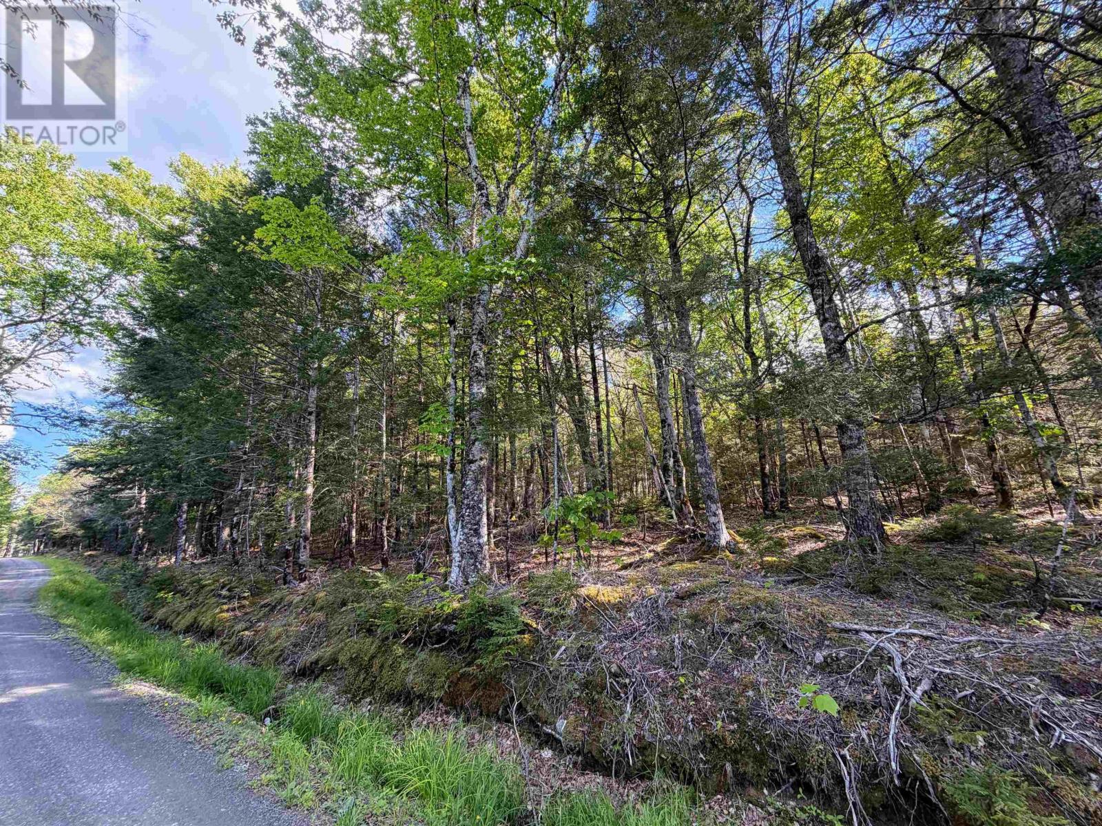 Property 3 of 7 of Lot Old Coach Road