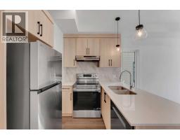 Furnace - 210, 156 Park Street, Cochrane, AB T4C3H3 Photo 9