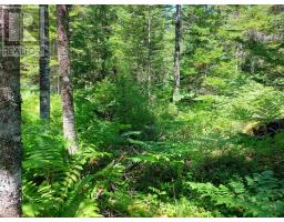 Lot 47e Widow Point Loop, West Bay Marshes, NS B0E3K0 Photo 15