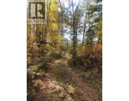 1905 &1910 Snowball Creek East Road, Grand Forks, BC V0H1H1 Photo 18
