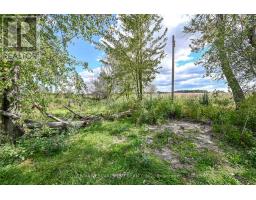 172 Tyneside Road, Haldimand, ON N3W2J1 Photo 16