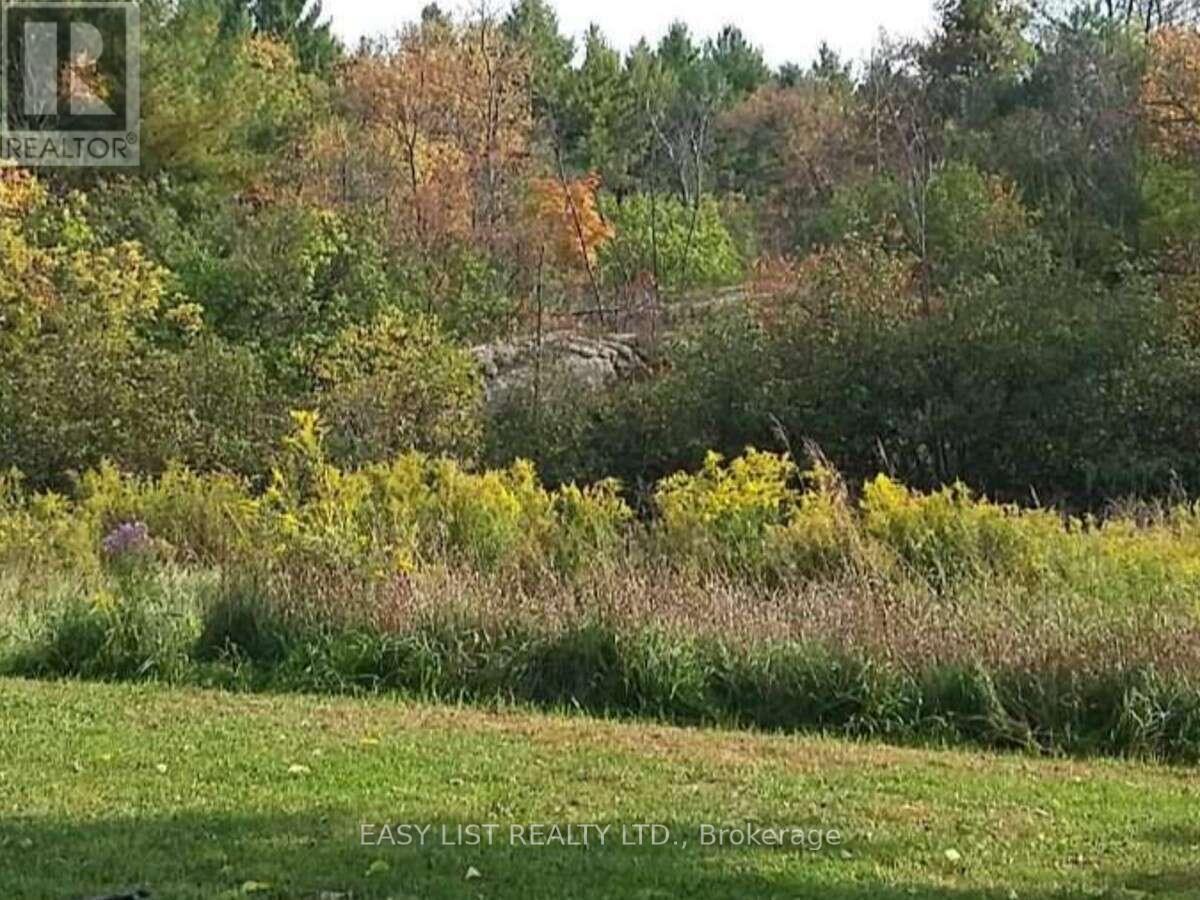 35 KALADAR STREET - 11
