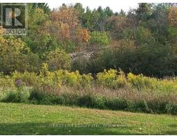 35 Kaladar Street, Tweed), ON K0K3J0 Photo 11