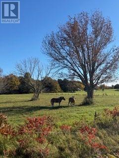 504054 GREY RD 1 999 ROAD, Georgian Bluffs — photo 2