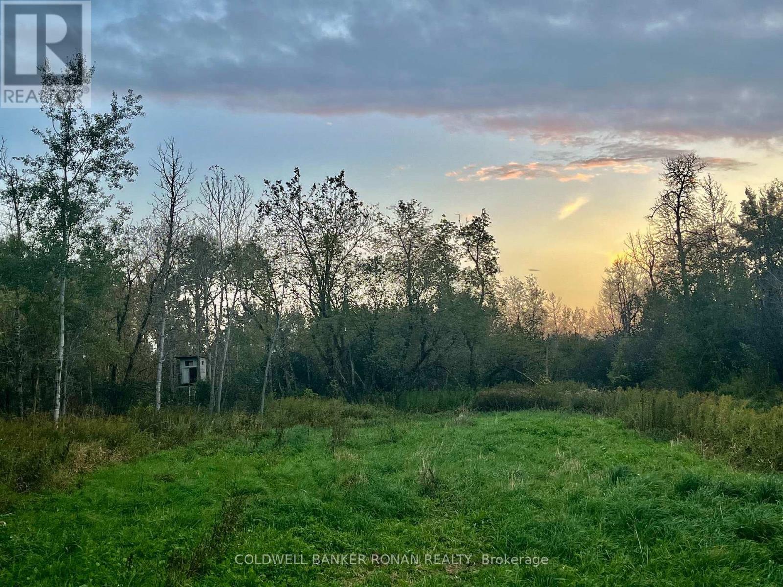 345198 15 Sideroad, Amaranth, ON photo 10